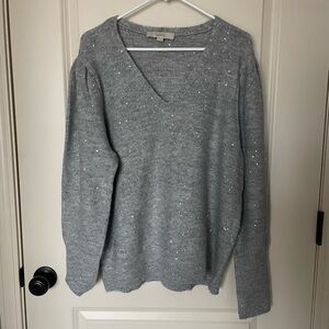 NWOT Loft Sequin Sweater